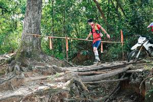 BIB: 
                            <button type="button" onclick="openModal(27804445)" class="btn btn-primary btn-sm float-right btn-popup" data-toggle="modal" data-target=".modal-high-quality">
                        <i class="fas fa-shopping-cart"></i> Add to Cart
                    </button>
                                            <button type="button" onclick="isThisMe(27804445, true)" class="btn btn-success btn-sm float-right btn-popup btn-isme hidden" data-toggle="tooltip" data-placement="bottom" title="นี่คือรูปของคุณใช่ไหม คลิกที่นี่เพื่อเอาเข้าอัลบั้ม">
                        <i class="fas fa-plus"></i> Add to album
                    </button>
                    <button type="button" onclick="isThisMe(27804445, false)" class="btn btn-warning btn-sm float-right btn-popup btn-isnotme hidden">
                        <i class="fas fa-ban"></i> Remove from album
                    </button>